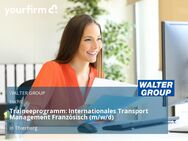 Traineeprogramm: Internationales Transport Management Französisch (m/w/d) - Cham CH