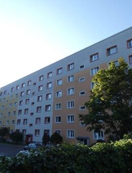 Nachmieter gesucht! Weihnachten im neuen Zuhause?!?! - Dresden