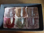Alte Schnapsgläser Pinnchen Vintage Orginalkarton Pastellfarben - Aßling