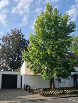 TOLLER SCHNAPPER - Viel Haus für wenig Geld ! Großes EFH - auch als Zweigenerationenhaus nutzbar! - Euskirchen