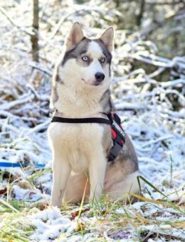 für aktive Menschen - Augsburg