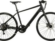 TOTEM E-Bike Urbanbike HMR, 7 Gang Shimano Tourney Schaltwerk, Kettenschaltung, Heckmotor, 252 Wh, Pedelec, Elektrofahrrad für Damen u. Herren