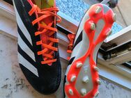 Adidas Predator Fussball Schuhe - Gr. 42 - - Bergheim (Nordrhein-Westfalen)