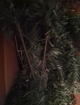 Weihnachtsbaum - Taucha