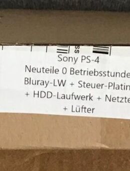 Sony PlayStation 4 Modul - Hamburg Altstadt