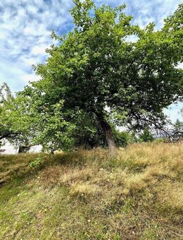 900m2 GS & 134m2 Haus in Wittgensdorf - Chemnitz