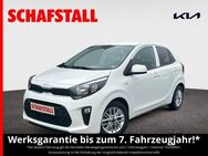 Kia Picanto 1.0 Dream Team NAVI Sitzheizung Klima Carplay - Bergheim (Nordrhein-Westfalen)