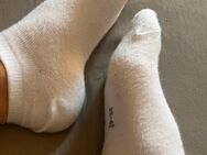 Verkaufe getragene Socken - Bitburg