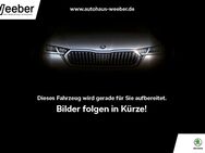 Skoda Octavia, 2.0 TSI Lim Ambition, Jahr 2019 - Calw