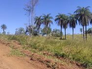Brasilien 25'000 Ha Rohstoff - Land Region Manaus - Coari AM - Waldshut-Tiengen