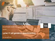 Leiter IT (all genders), Maschinenbau - Osnabrück
