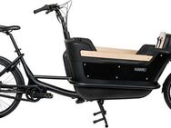 HAWK Bikes E-Bike Lastenrad E-Cargo 2.2, 8 Gang Shimano, Nabenschaltung, Mittelmotor, 468 Wh, Pedelec, Elektrofahrrad für Damen u. Herren