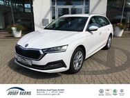 Skoda Octavia, 2.0 TDI Combi Style, Jahr 2023 - Haren (Ems)