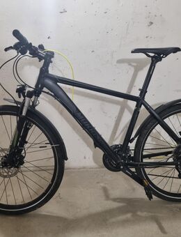 Morrison Trekking Rad - Dortmund