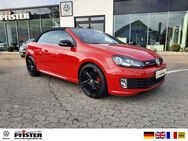 VW Golf, VI Cabriolet GTI Last Edition 087 200, Jahr 2016 - Neuenburg (Rhein)