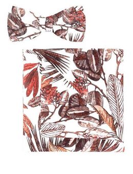 OLYMP Fliege (Set)