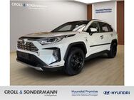 Toyota RAV 4, 2.5 4x2 Hybrid Lounge 8-Fach Maderschutz, Jahr 2019 - Heiligenhaus