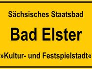 Barrierefreier Loft im Zentrum der Kurstadt Bad Elster - Bad Elster