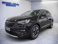 Opel Grandland X 1.2 Business INNOVATION PANO AHK SHZ - Freiburg (Breisgau)