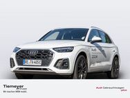 Audi Q5 55 TFSIe Q S LINE LUFT LM20 PANO FEINNAPPA - Dorsten