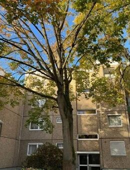 SANKT AUGUSTIN, freiwerdend, 3 Zimmer-ETW. Balkon, ca. 73 m² Wfl., im 6 Part. Haus mit TG-Stellplatz - Sankt Augustin
