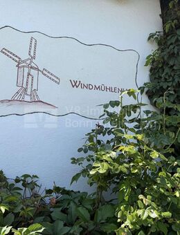 Historischer Windmühlenhof von Meckenheim! - Meckenheim