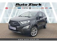 Ford EcoSport Titanium 1.0 EcoBoost EU6d Ganzjahresreifen Klimaautomatik - Peine