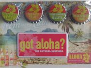 Warsteiner Brauerei - Aloha Limonade - 4 Magnete in Kronkorkenform, 1 Magnet 38 x 75 mm & 1 Postkarte - Doberschütz