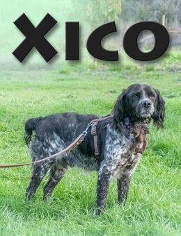 Xico ist ein feiner Kerl - Brunstorf