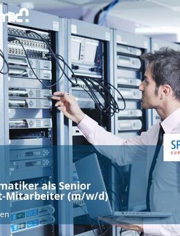 Fachinformatiker als Senior IT-Support-Mitarbeiter (m/w/d) - Kaltenkirchen