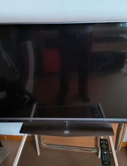 Fernseher - Hasbergen