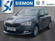 Skoda Fabia, 1.0 TSI Ambition LM17, Jahr 2020 - Lengerich (Nordrhein-Westfalen)