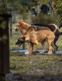 JULICA - voller Energie und Ideen - Overath