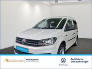 VW Caddy, 2.0 L TDI Kombi Basis, Jahr 2019 - Kaiserslautern