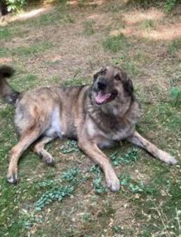 JUNI - mit meinen Besonderheiten leben - Overath