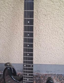 E gitarre - Pegnitz