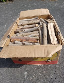 Anzündholz Anfeuerholz/ Brennholz - Holzbach