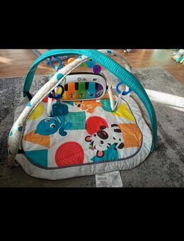 Babyspielzeug Baby-Spieldecke von babyeinstein - Offenbach (Main) Tempelsee