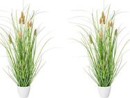 Kunstgras Grasbusch Lagurus Gras, Creativ green, Höhe 50 cm
