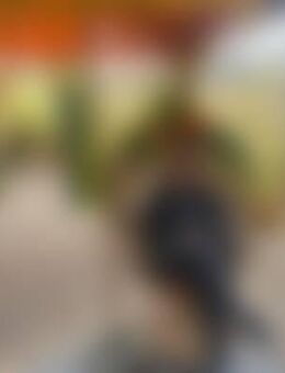 Kri*** - Schönefeld