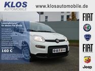 Fiat Panda, 1.0 HYBRID GSE 70PS CITY PAKET, Jahr 2024 - Dreieich