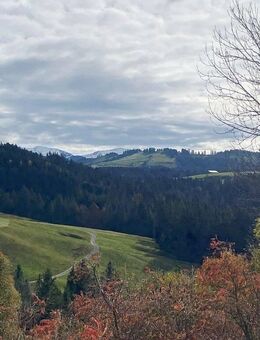saniertes 3-FH bei Grünenbach - Vermietungsobjekt (Ferienwohnungen) od. als Generationenhaus nutzbar - Grünenbach