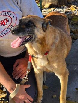 🆘 Soziale RUBY sucht SEHR dringend 🆘🆘 - München