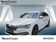 Skoda Superb, 2.0 TDI Combi Bel Sitz 4xSHZ, Jahr 2023 - Gummersbach