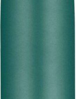 THERMOcafé Isolierflasche TC BOTTLE, aus doppelwandigem Edelstahl, spülmaschinenfest, gummierter Drehverschluss, absolut dicht bei Kohlensäure