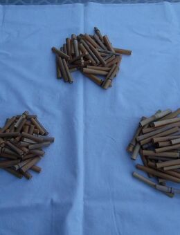 kurze Stäbe aus Riesen-Chinaschilfgras - Kolkwitz