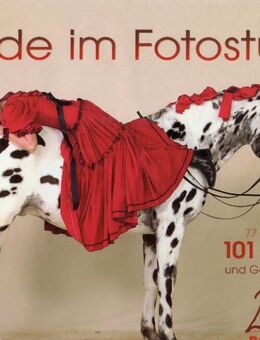 Pferde im Fotostudio   Autor/in: Boiselle, Gabriele - Spraitbach