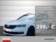 Skoda Octavia, 1.8 TSI Combi Clever CANTON, Jahr 2018 - Melle