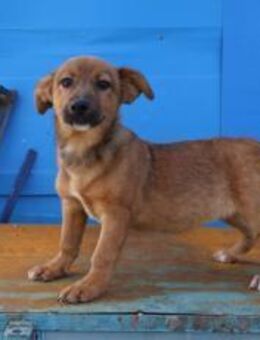 Hallo - Ich bin Lilu - München