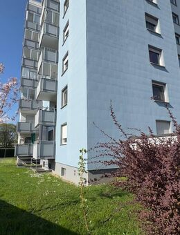 Ideal für Grenzgänger - Grenzach-Wyhlen